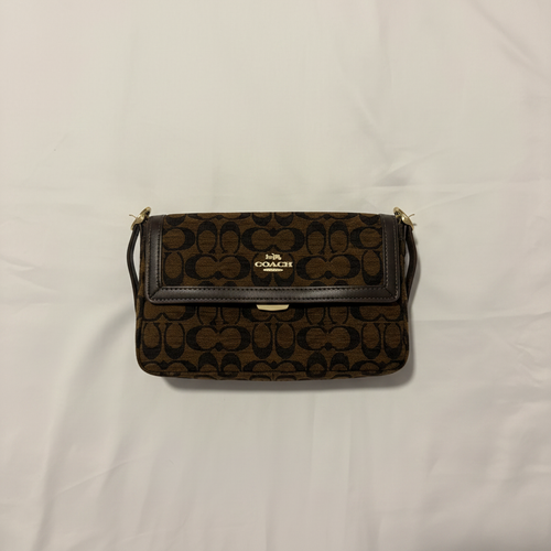 Coach Bag Clean Flat Lay